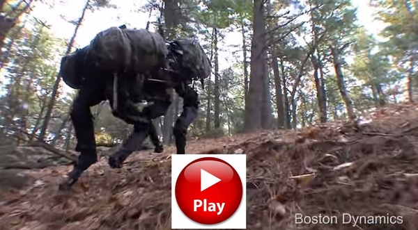 Robot Dog Video